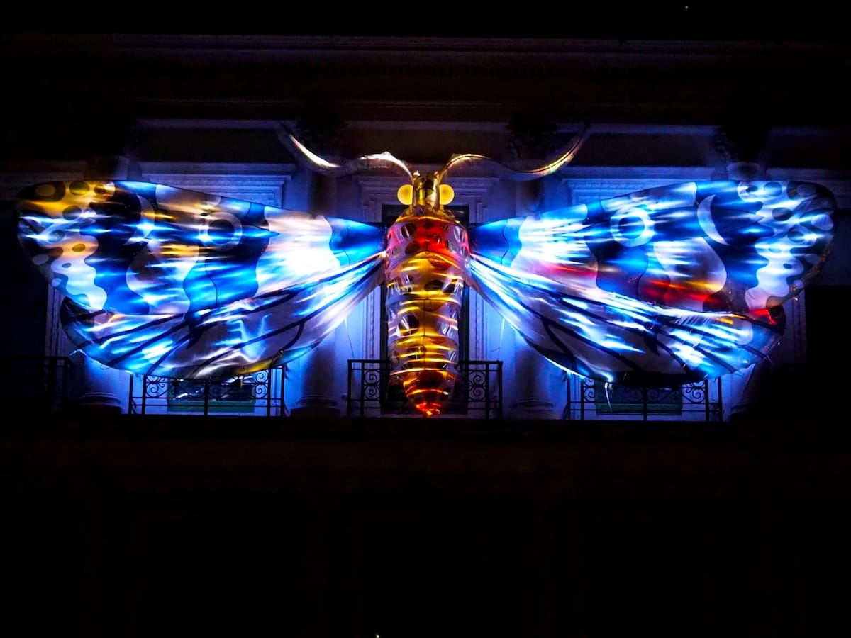 A large illuminated moth installation on the side of a building, at night.