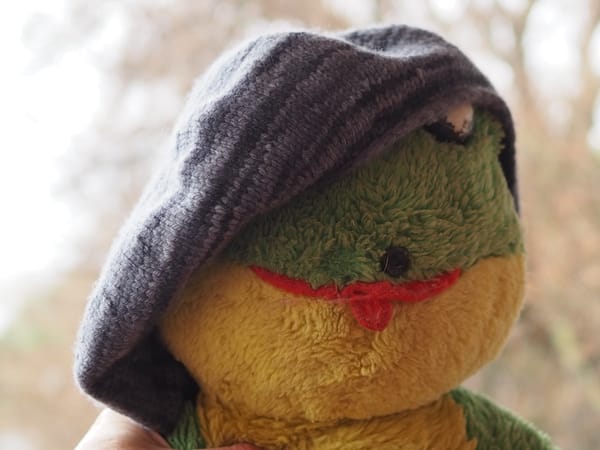 An old stuffed frog wearing a grey knitted beret