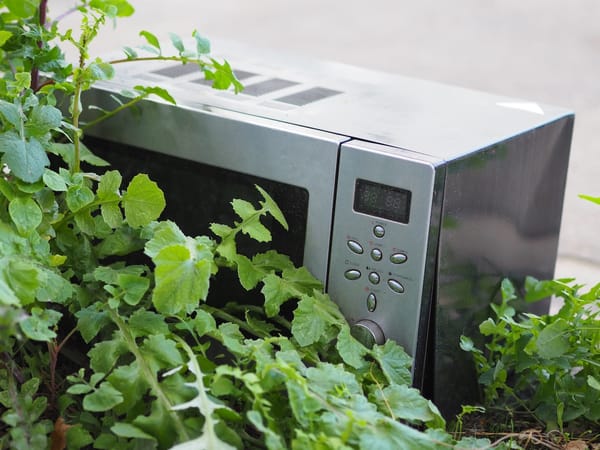 A silver microwave oven discarded by the side of the road, with weeds growing