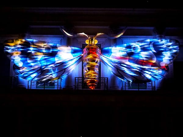 A large illuminated moth installation on the side of a building, at night.
