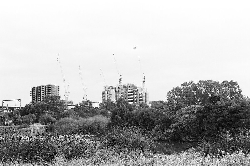 High rise building site with a wetland in the foreground